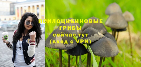 гидропоника Алексеевка