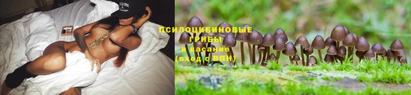каннабис Алексин