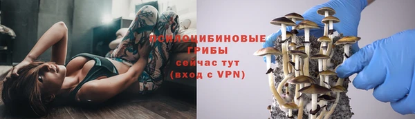 гидропоника Алексеевка