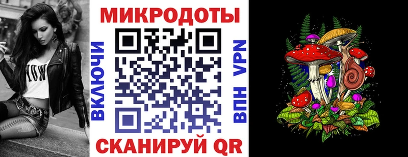 Псилоцибиновые грибы Psilocybe  Жуковский 