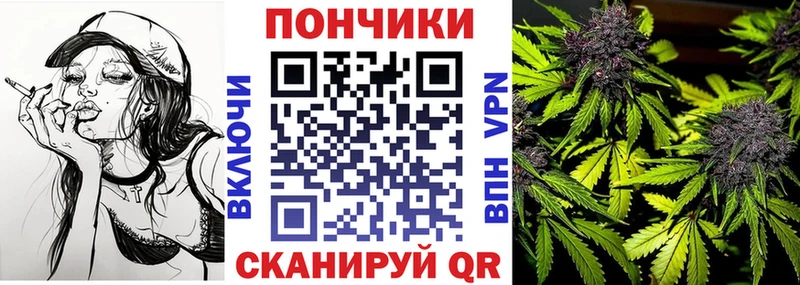 ссылка на мегу как войти  Жуковский  Бошки марихуана White Widow 